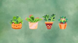 Sabrás tu nivel de resiliencia ante las dificultades al elegir una de las macetas