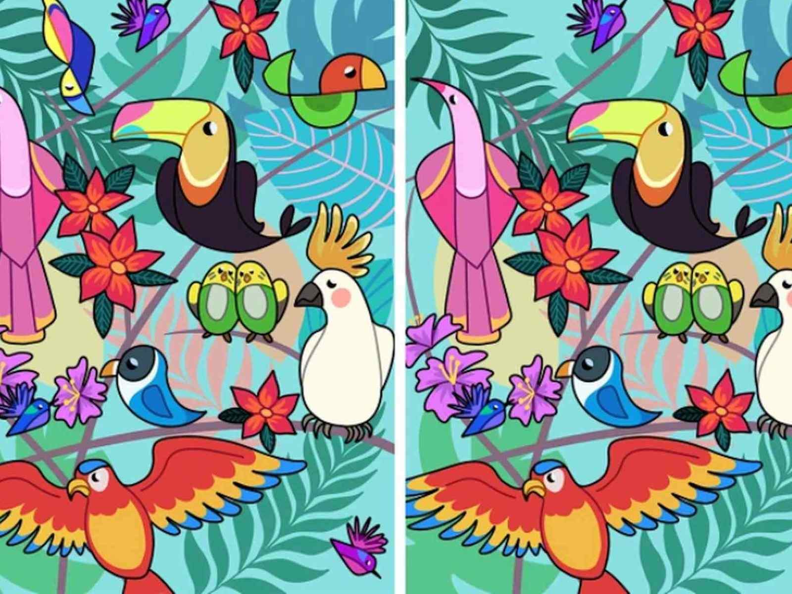 RETO VISUAL | Estas imágenes de aves tienen 2 diferencias. Detéctalas. (Foto: genial.guru)