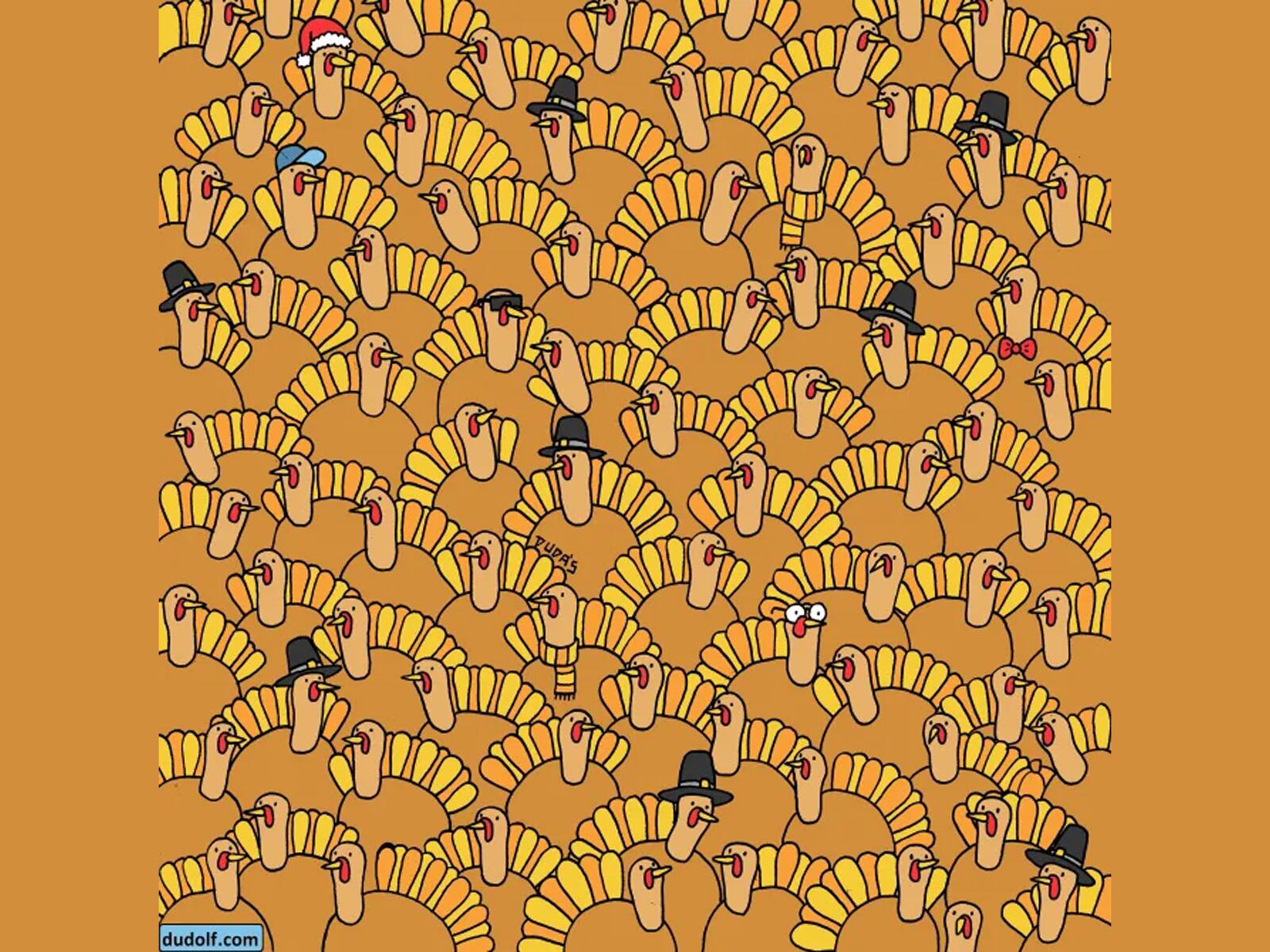 RETO VISUAL | Si ves la calabaza entre los pavos en menos de 10 segundos, podrías tener un coeficiente intelectual alto. | Gergely Dudolf