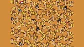 Encuentra la calabaza entre los pavos en 10 segundos si eres inteligente