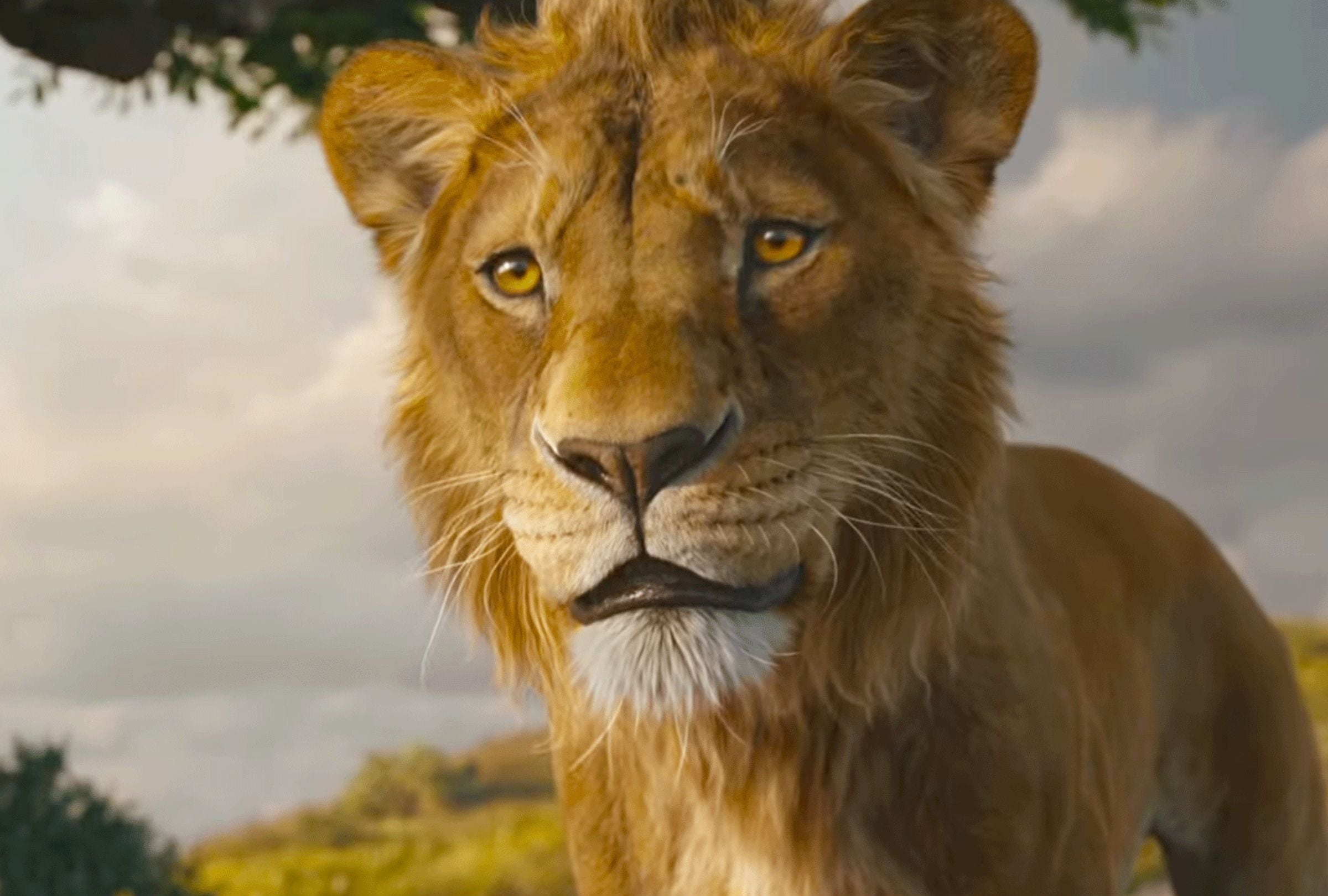 La película "Mufasa: The Lion King" se desarrolla a lo largo de 118 minutos de metraje (Foto: Walt Disney Pictures)
