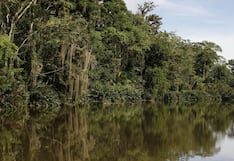 Panamá busca restaurar sus famosos humedales afectados por el cambio climático y la actividad humana