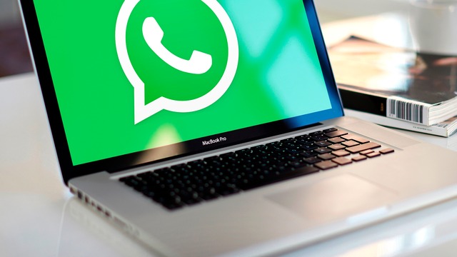 WhatsApp Web y la solución en caso no te lleguen los mensajes