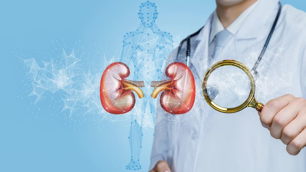 Los riñones son órganos vitales que desempeñan un papel crucial en la eliminación de desechos y toxinas del cuerpo, así como en la regulación de los niveles de líquidos y electrolitos.