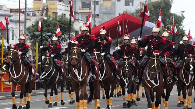 En 3 años han muerto 47 caballos de regimiento Mariscal Nieto