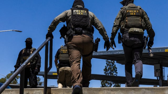 Guantes de descarga eléctrica para agentes de ICE: cómo funcionan, cuánto costarán y por qué generan preocupación