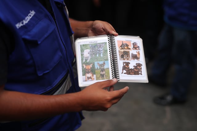 Los presuntos vendedores los ofrecen al publico en fotos mediante un catálogo. (Foto: Antonio Melgarejo/ @photo.gec)