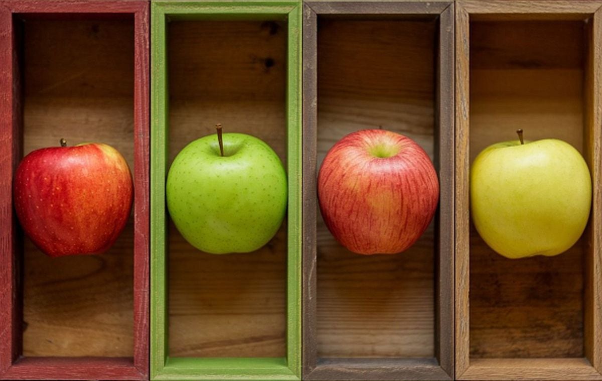 Observa la imagen de este test de personalidad y elige la manzana que más te guste. El resultado te dejará impactado porque sabrás si tienes mal carácter o no. (Imagen: El Comercio/Mag)