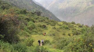 Bosque de Zárate: la montaña verde que nos desafía