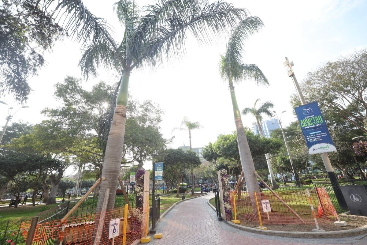 Traslado de palmeras en Miraflores se ejecutó con éxito y bajo estrictos estándares ambientales. (Foto: Difusión)