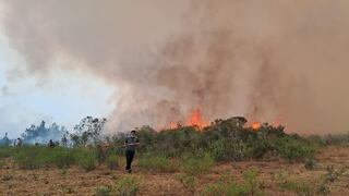 El drama de los incendios forestales: 10 muertos y 51 focos activos en sierra y selva del Perú