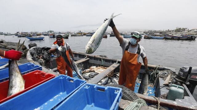Bono pescadores: Fecha de pago y monto del subsidio se conocerá el 2 de marzo, según el Midis