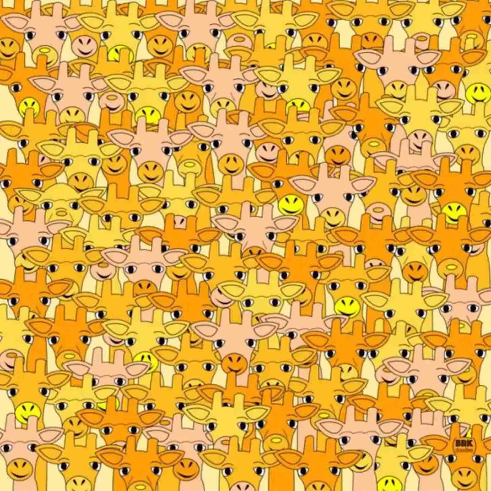 RETO VISUAL | Esta imagen te muestra muchas jirafas. Tienes que localizar al maestro ‘Yoda’. (Foto: Brandee Kent / BRK Doodles)
