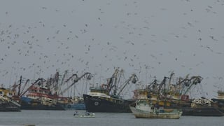 Puerto de Salaverry se mantiene cerrado por oleajes anómalos