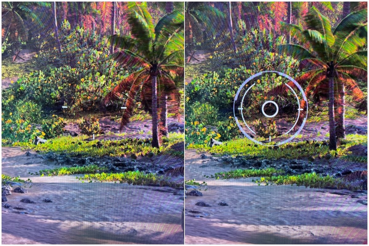 Una muestra de la opción de “Ayuda para apuntar” proporcionada por el C855.