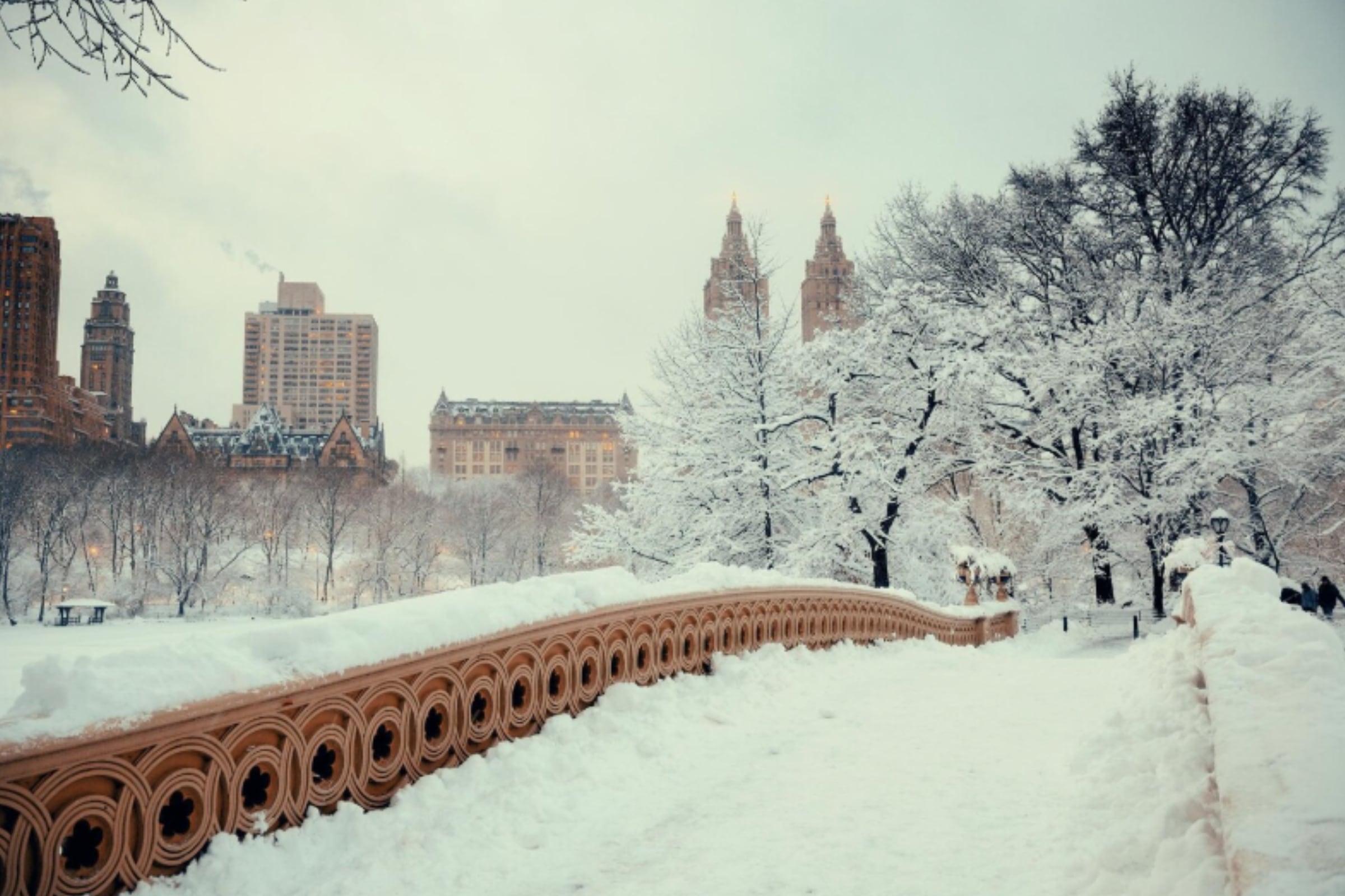 Este fenómeno reducirá la visibilidad de conducción y carreteras resbaladizas. (Crédito: TravelScape / Freepik)