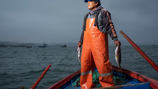 Chimbote: cómo un grupo de pescadores apostó por la sostenibilidad y multiplicó sus ventas