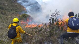 Incendios forestales en Perú: discrepancias entre regiones y el Indeci por cifras ocultas