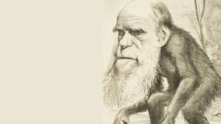 Libro de Darwin es elegido el más influyente de la historia