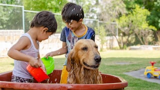 Día del Amor y la Amistad: ¿Por qué un perro puede convertirse en el mejor amigo de tus hijos?