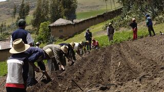 Sector agropecuario creció en primer bimestre del año pese a lluvias e inundaciones, señala Midagri