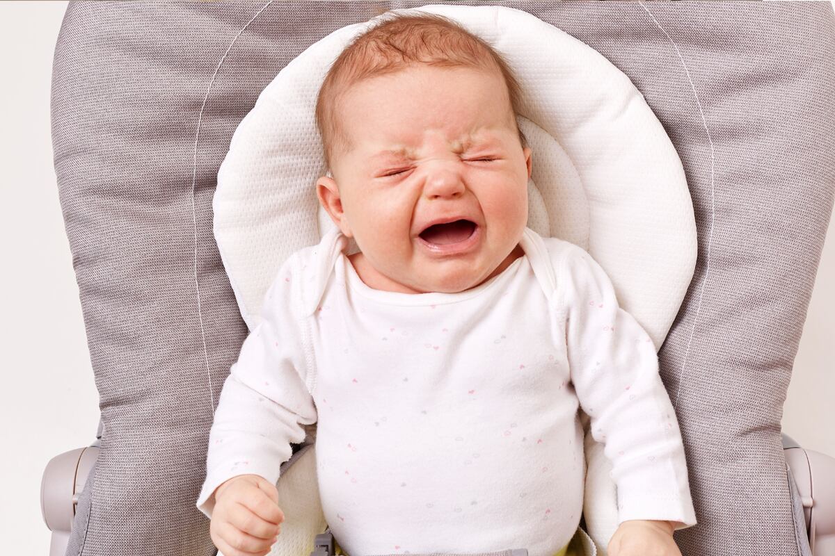 Los síntomas más comunes registrados son diarrea, vómito, fiebre, dolor abdominal y bajo apetito.