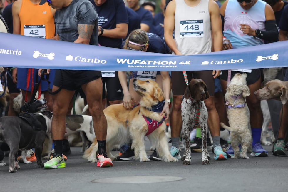 La Wufathon 4K 2025 en las calles de Barranco tuvo gran acogida. La jornada deportiva sirvió para que cientos de participantes compartieran con sus mascotas. (Foto: Antonio Melgarejo/ @photo.gec)