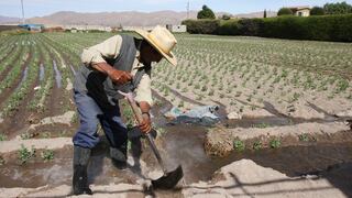 Las propuestas y compromisos de AGAP para la nueva ley agraria