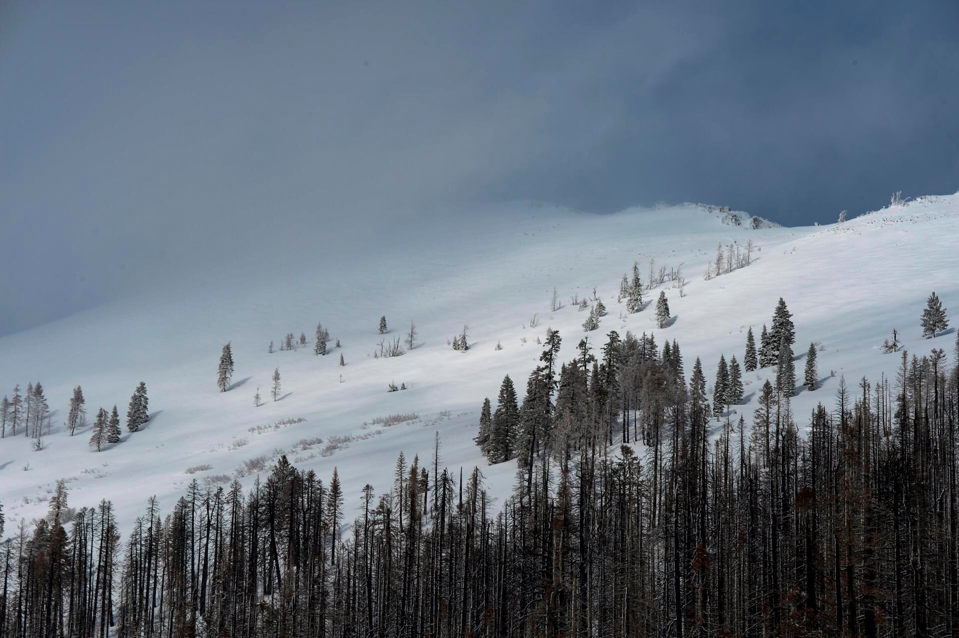 Una montaña cubierta de nieve en Sierra Nevada, California, el 3 de enero de 2023. (EFE).