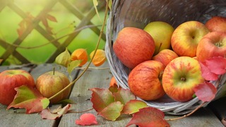 FDA: la advertencia sobre las bolsas de puré de manzana con plomo en 22 estados  