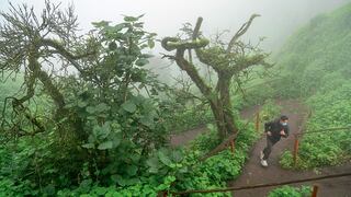 Las lomas de Lima: cómo pasar un día increíble y respirar aire puro a solo una hora de viaje en carretera