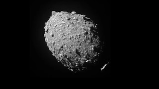 Día de los Asteroides: ¿por qué se celebra y qué podría hacerse en caso de un impacto en la Tierra?