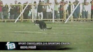 Copa Perú: perro invadió campo y defecó en pleno partido