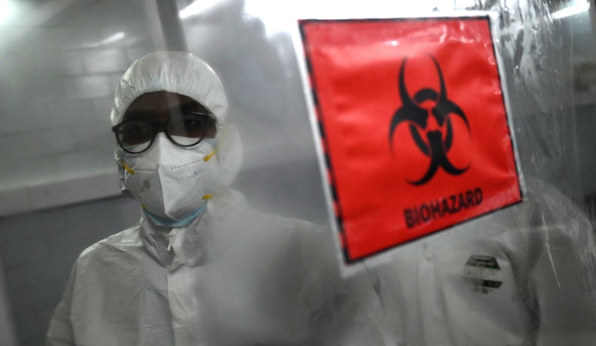 El estudio sugiere que que la musaraña puede ser un reservorio natural del virus. (Foto: Arun SANKAR / AFP)