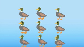 Demuestra tu inteligencia: ¿Cuántos patos ves en la imagen?