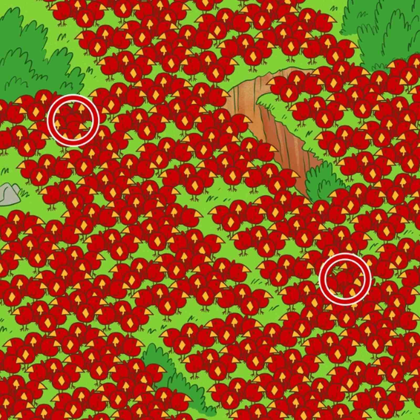 RETO VISUAL | En esta imagen se indica la ubicación de las dos manzanas. (Foto: genial.guru)