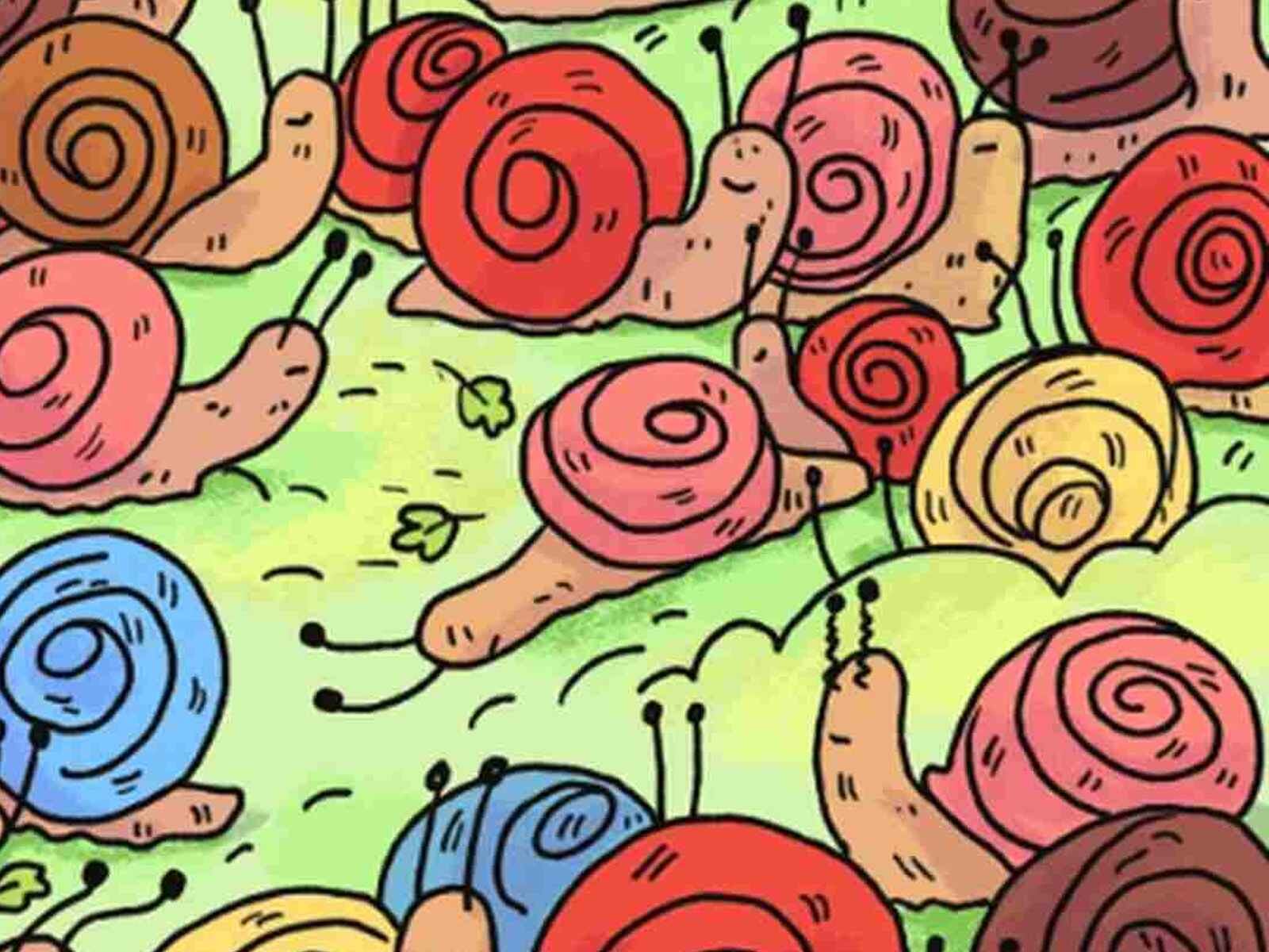 RETO VISUAL | En esta imagen se pueden apreciar muchos caracoles en un área verde. ¿Dónde está la rosa? (Foto: genial.guru)