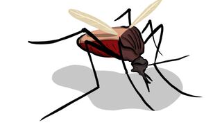 El dengue y la desigualdad social