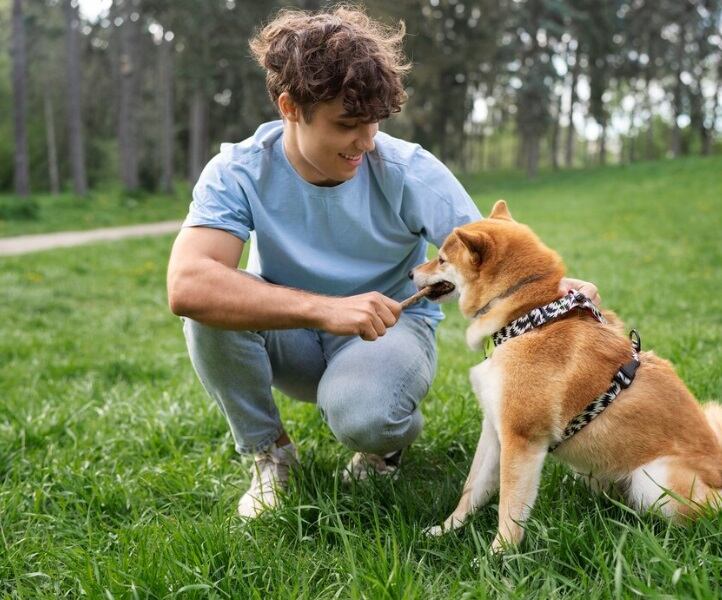 Los expertos sugieren paseos de entre 20 y 30 minutos diarios para perros adultos en buena forma física. (Foto referencial: Freepik)
