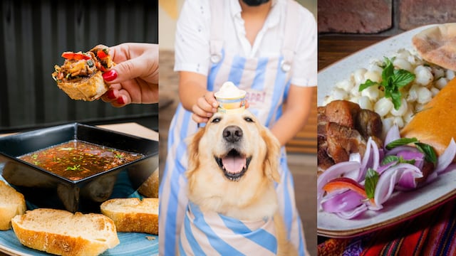 ¿A la playa con mascotas? La guía de restaurantes petfriendly en el sur de Lima