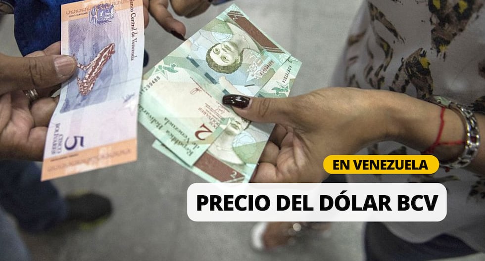 Consulta, DÓLAR BCV hoy, 12 de marzo: Cuál es la tasa oficial del Banco Central de Venezuela