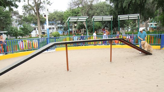 San Martín de Porres