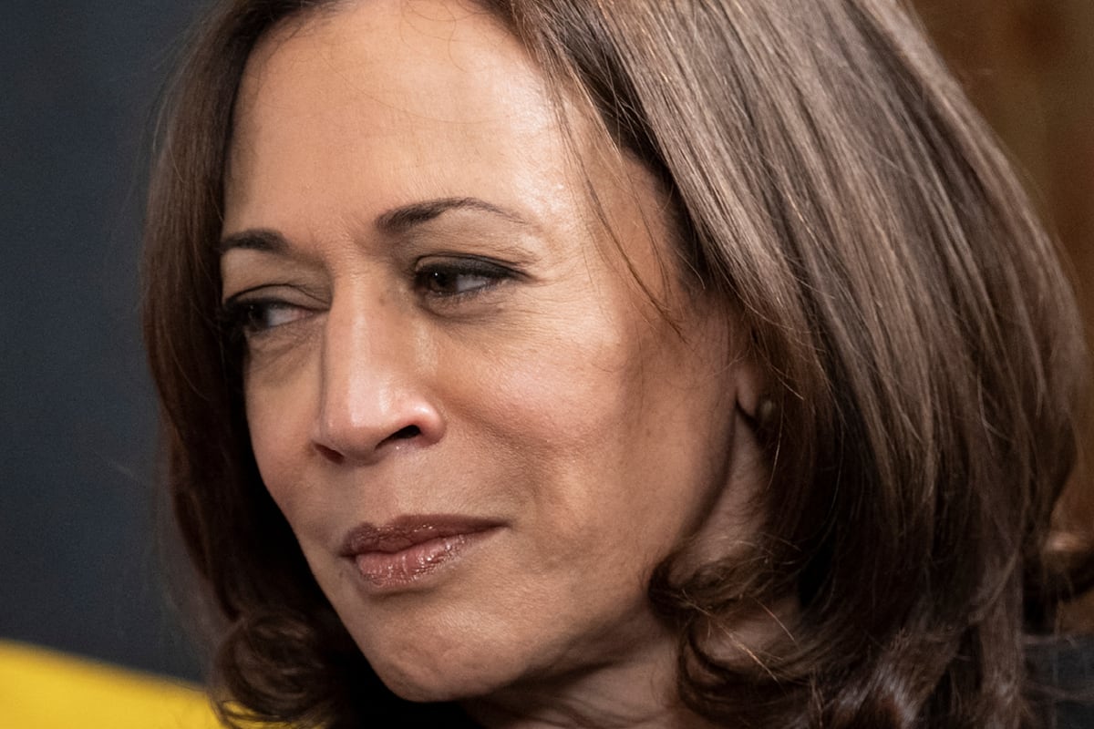 Kamala Harris buscará llegar a la Casa Blanca durante las elecciones presidenciales del 5 de noviembre (Foto: AFP)