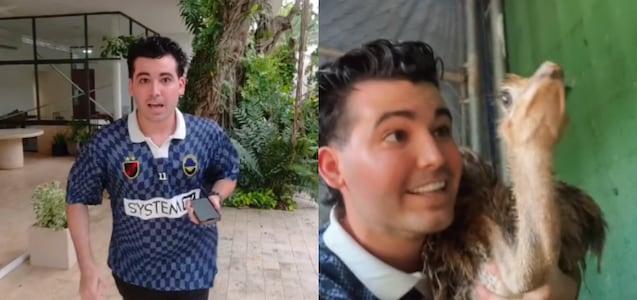 “El arca de Noé”: cómo un joven se preparó para proteger a sus animales del huracán Beryl