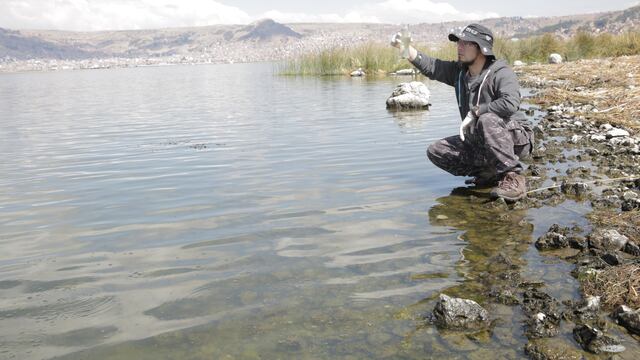 El reto de un científico peruano para limpiar el lago Titicaca