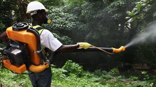 El Salvador en alerta para prevenir la fiebre chikungunya