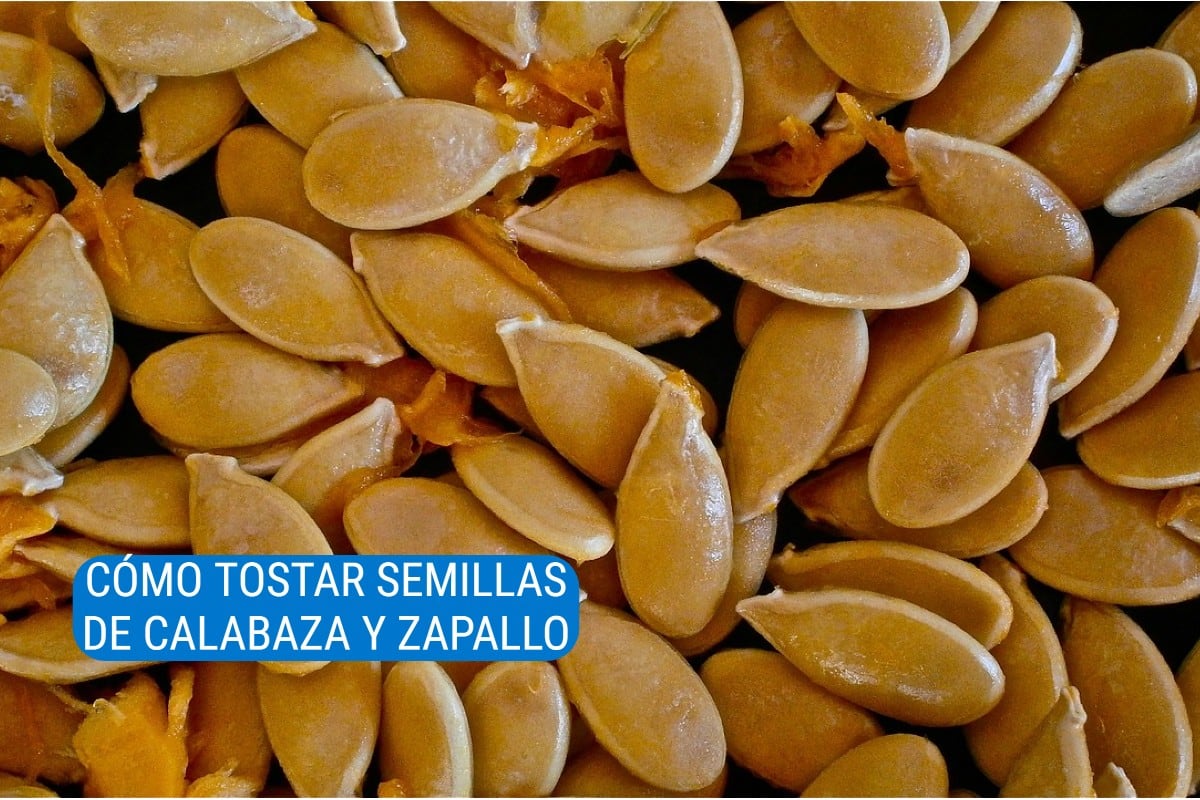 Las semillas de calabaza y zapallo tienen una serie de beneficios para la salud de las personas. (Foto: Pixabay/Fernando Espí).