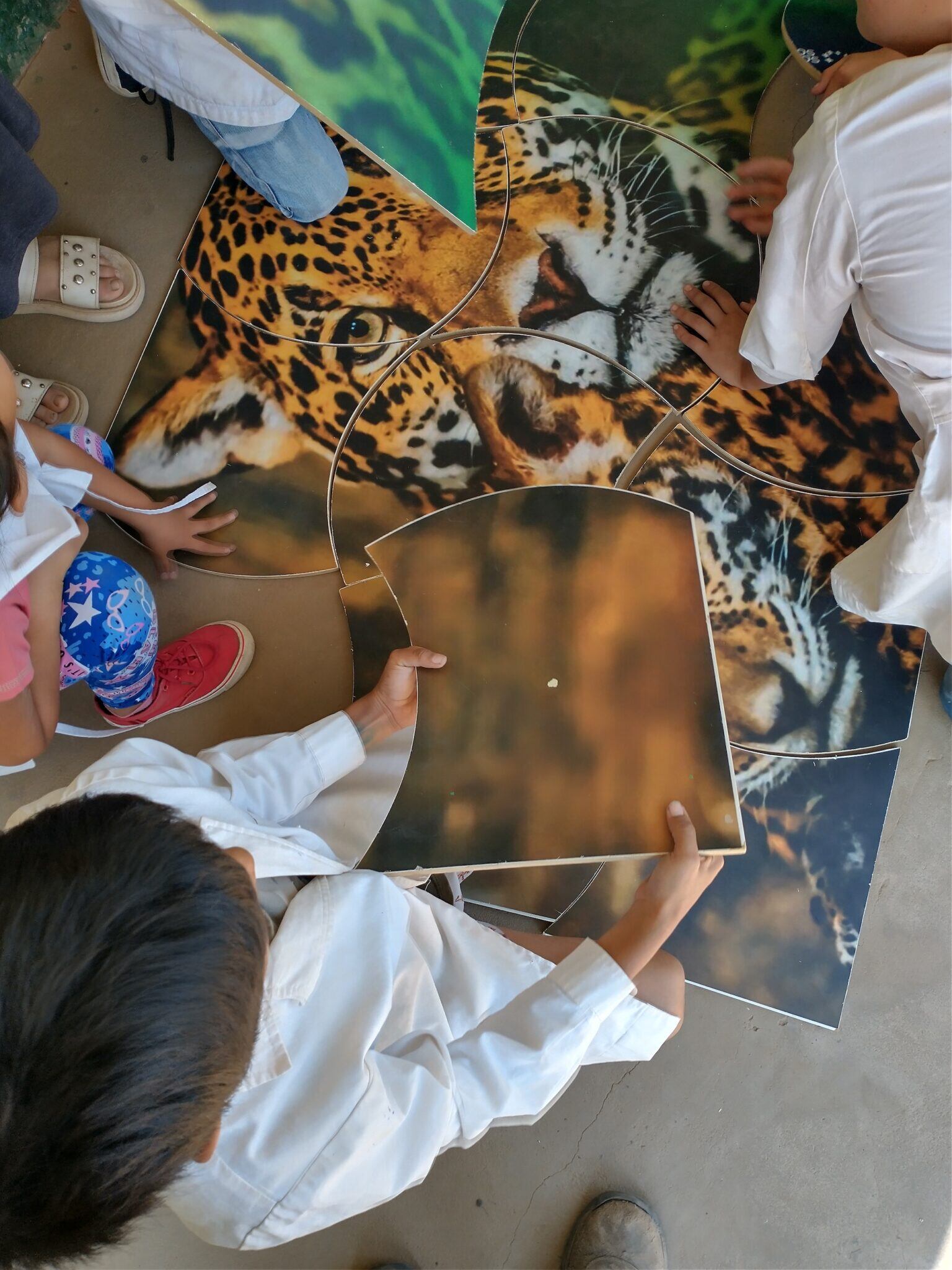 Los niños de una escuela rural formoseña arman un rompecabezas con la imagen de un jaguar durante una de las campañas de educación ambiental organizada en conjunto por el gobierno local y las organizaciones civiles. Foto: Proyecto Yaguareté.