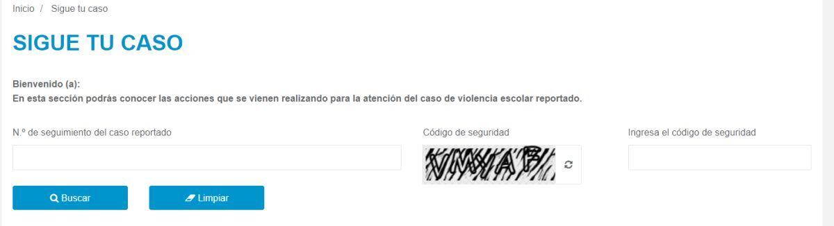 Se puede hacer seguimiento a las denuncias de bullying en el portal SíseVe (Foto: Minedu)