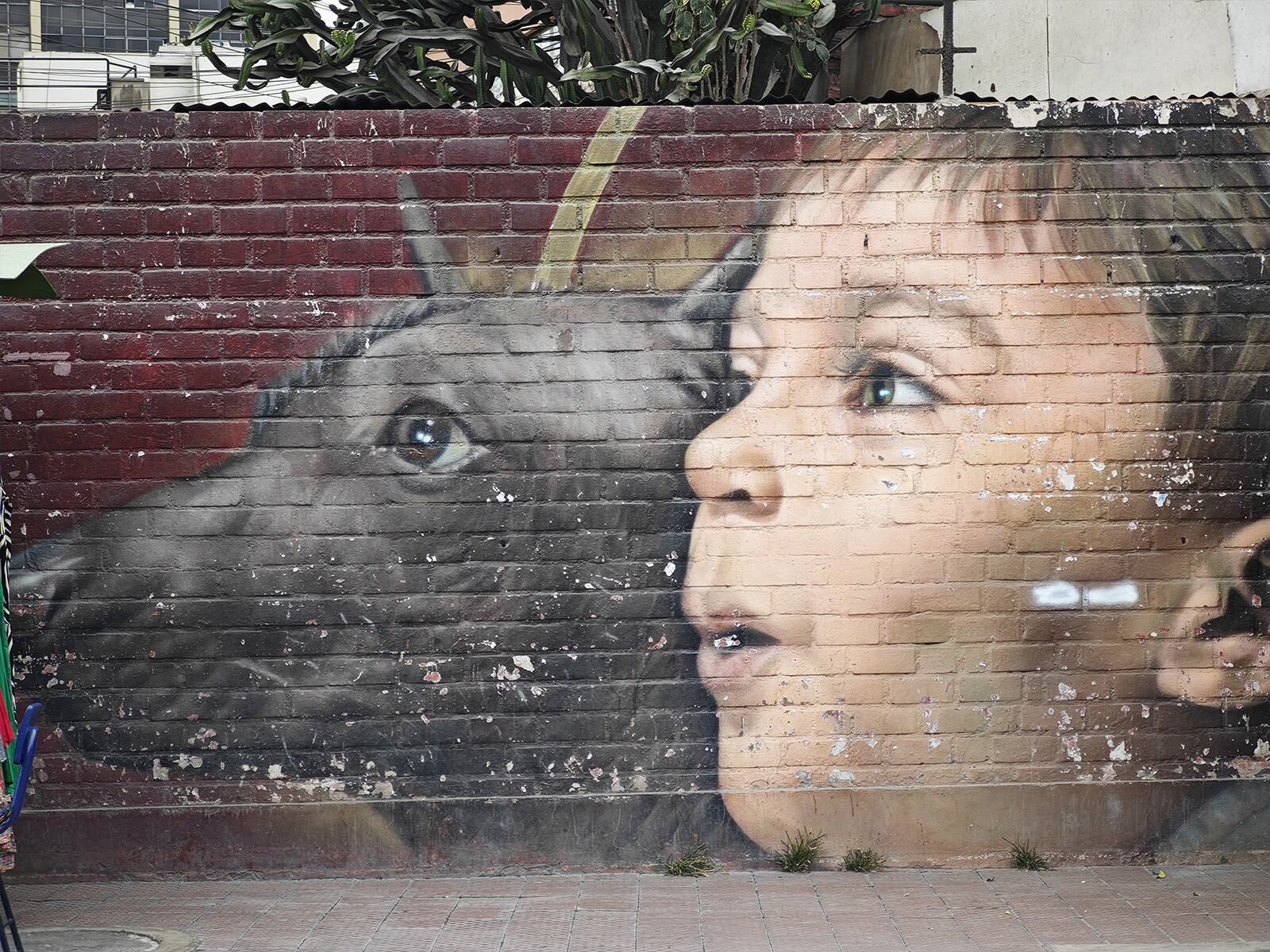 XIAOMI | Así toma las fotos el XIaomi 14 Ultra. (Foto: MAG - Rommel Yupanqui)